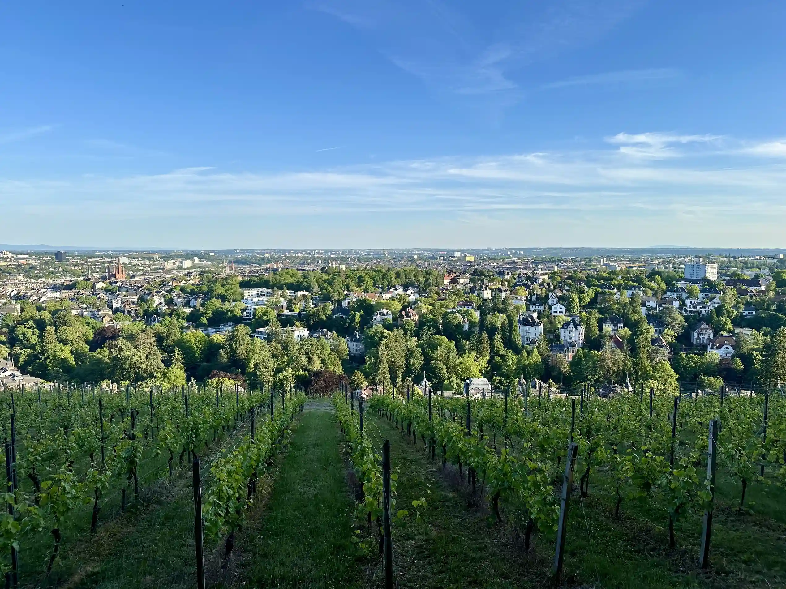 Umfeld Albrecht7